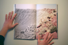 Living Stone Press