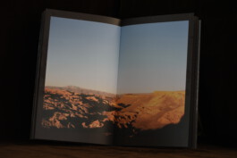 Living Stone Press