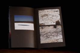 Living Stone Press
