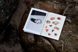 Living Stone Press
