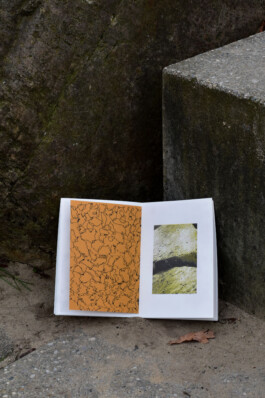 Living Stone Press