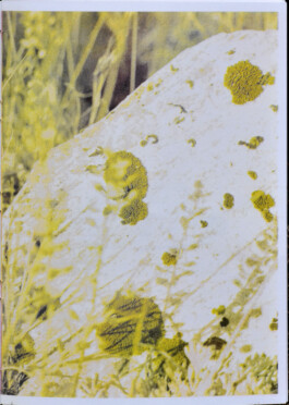 Living Stone Press