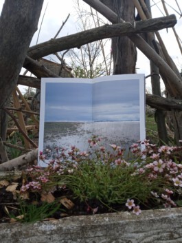 Living Stone Press