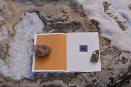 Living Stone Press