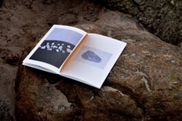 Living Stone Press