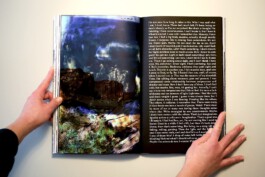 Living Stone Press