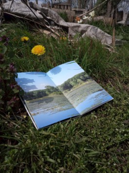 Living Stone Press
